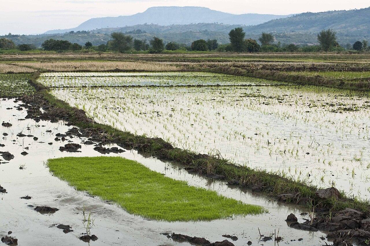 Karonga District